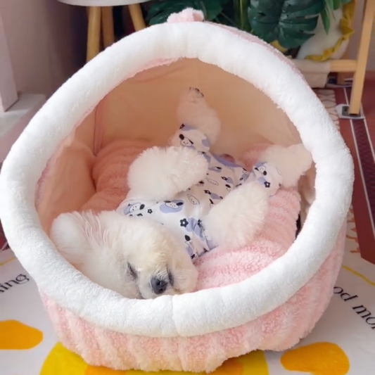 MOOCHPAW CozyNest